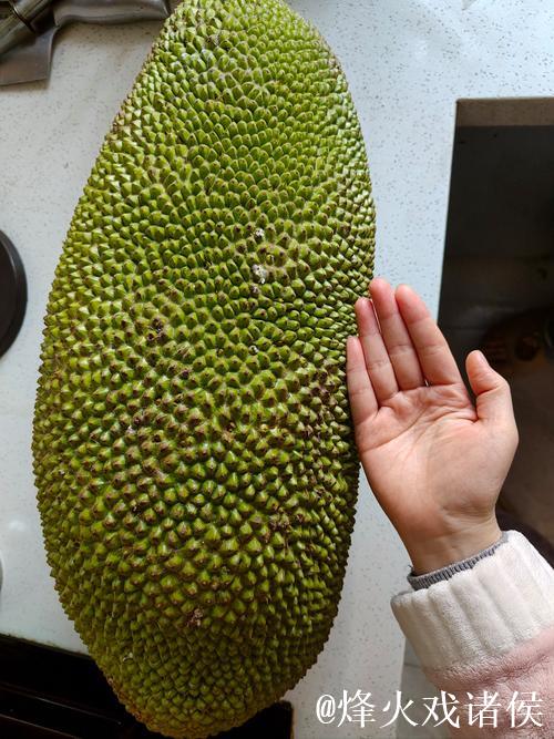 在线看片免费人成视频菠萝蜜