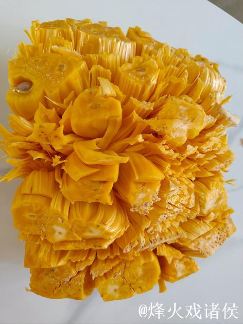 在线看片免费人成视频菠萝蜜