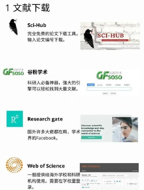 探索1024软件的强大功能与应用